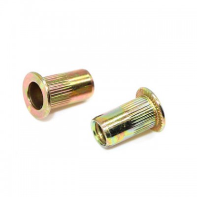 Haiyan bafang nut rivets  color zinc m6 blind rivet nut