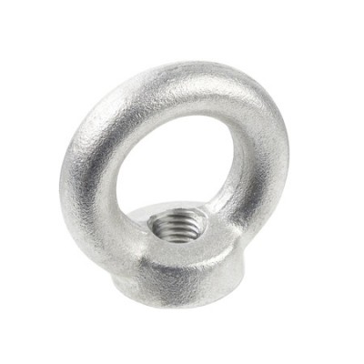 ISO 9001 DIN 582 Eye Bolt used in plastic machinery